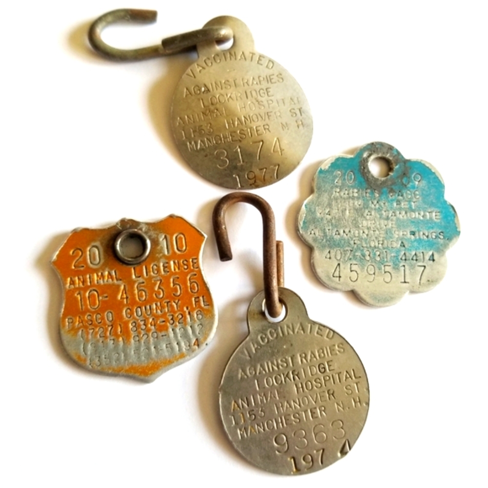 Dog tags vintage to recent license rabies Florida New Hampshire lot